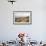 A View from a High Point over Heather and Fields in England-Will Wilkinson-Framed Photographic Print displayed on a wall