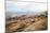 A View from a High Point over Heather and Fields in England-Will Wilkinson-Mounted Photographic Print