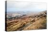 A View from a High Point over Heather and Fields in England-Will Wilkinson-Stretched Canvas