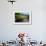 A View from a High Point over Heather and Fields in England-Will Wilkinson-Framed Photographic Print displayed on a wall