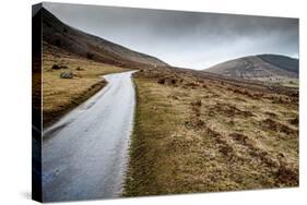 A View from a High Point over Heather and Fields in England-Will Wilkinson-Stretched Canvas