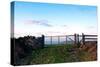 A View from a High Point over Heather and Fields in England-Will Wilkinson-Stretched Canvas