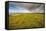 A View from a High Point over Heather and Fields in England-Will Wilkinson-Framed Stretched Canvas