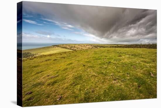 A View from a High Point over Heather and Fields in England-Will Wilkinson-Stretched Canvas