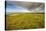 A View from a High Point over Heather and Fields in England-Will Wilkinson-Stretched Canvas