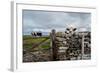 A View from a High Point over Heather and Fields in England-Will Wilkinson-Framed Photographic Print