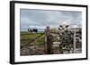 A View from a High Point over Heather and Fields in England-Will Wilkinson-Framed Photographic Print