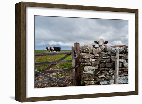 A View from a High Point over Heather and Fields in England-Will Wilkinson-Framed Photographic Print