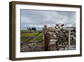 A View from a High Point over Heather and Fields in England-Will Wilkinson-Framed Photographic Print