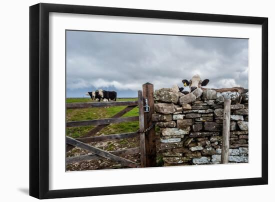 A View from a High Point over Heather and Fields in England-Will Wilkinson-Framed Photographic Print