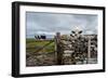 A View from a High Point over Heather and Fields in England-Will Wilkinson-Framed Photographic Print