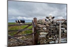 A View from a High Point over Heather and Fields in England-Will Wilkinson-Mounted Photographic Print