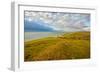 A View from a High Point over Heather and Fields in England-Will Wilkinson-Framed Photographic Print