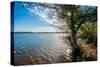 A View from a High Point over Heather and Fields in England-Will Wilkinson-Stretched Canvas