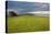 A View from a High Point over Heather and Fields in England-Will Wilkinson-Stretched Canvas