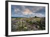 A View from a High Point over Heather and Fields in England-Will Wilkinson-Framed Photographic Print