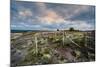 A View from a High Point over Heather and Fields in England-Will Wilkinson-Mounted Photographic Print