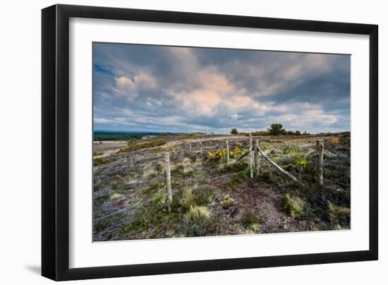 A View from a High Point over Heather and Fields in England-Will Wilkinson-Framed Photographic Print