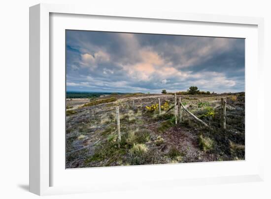 A View from a High Point over Heather and Fields in England-Will Wilkinson-Framed Photographic Print