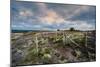 A View from a High Point over Heather and Fields in England-Will Wilkinson-Mounted Photographic Print