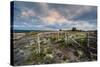 A View from a High Point over Heather and Fields in England-Will Wilkinson-Stretched Canvas