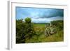 A View from a High Point over Heather and Fields in England-Will Wilkinson-Framed Photographic Print