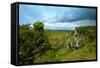 A View from a High Point over Heather and Fields in England-Will Wilkinson-Framed Stretched Canvas