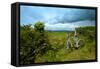 A View from a High Point over Heather and Fields in England-Will Wilkinson-Framed Stretched Canvas