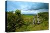 A View from a High Point over Heather and Fields in England-Will Wilkinson-Stretched Canvas