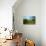 A View from a High Point over Heather and Fields in England-Will Wilkinson-Photographic Print displayed on a wall