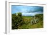 A View from a High Point over Heather and Fields in England-Will Wilkinson-Framed Photographic Print