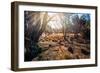 A View from a High Point over Heather and Fields in England-Will Wilkinson-Framed Photographic Print