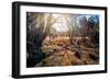 A View from a High Point over Heather and Fields in England-Will Wilkinson-Framed Photographic Print