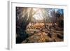 A View from a High Point over Heather and Fields in England-Will Wilkinson-Framed Photographic Print