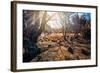 A View from a High Point over Heather and Fields in England-Will Wilkinson-Framed Photographic Print