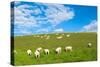 A View from a High Point over Heather and Fields in England-Will Wilkinson-Stretched Canvas