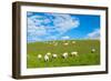 A View from a High Point over Heather and Fields in England-Will Wilkinson-Framed Photographic Print