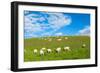 A View from a High Point over Heather and Fields in England-Will Wilkinson-Framed Photographic Print