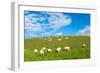 A View from a High Point over Heather and Fields in England-Will Wilkinson-Framed Photographic Print