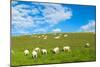 A View from a High Point over Heather and Fields in England-Will Wilkinson-Mounted Photographic Print