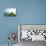 A View from a High Point over Heather and Fields in England-Will Wilkinson-Photographic Print displayed on a wall