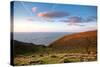 A View from a High Point over Heather and Fields in England-Will Wilkinson-Stretched Canvas