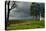 A View from a High Point over Heather and Fields in England-Will Wilkinson-Stretched Canvas