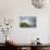 A View from a High Point over Heather and Fields in England-Will Wilkinson-Photographic Print displayed on a wall