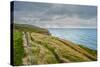 A View from a High Point over Heather and Fields in England-Will Wilkinson-Stretched Canvas