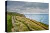 A View from a High Point over Heather and Fields in England-Will Wilkinson-Stretched Canvas