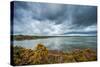 A View from a High Point over Heather and Lake in England-Will Wilkinson-Stretched Canvas