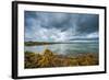 A View from a High Point over Heather and Lake in England-Will Wilkinson-Framed Photographic Print