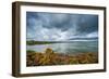 A View from a High Point over Heather and Lake in England-Will Wilkinson-Framed Photographic Print