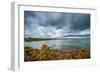 A View from a High Point over Heather and Lake in England-Will Wilkinson-Framed Photographic Print